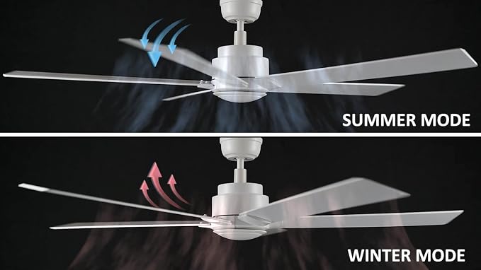 60 Inch Ceiling Fan without Lights, White Ceiling Fan with Remote Low Profile, 10-Speed Reversible DC Motor, 5 Dual Finish