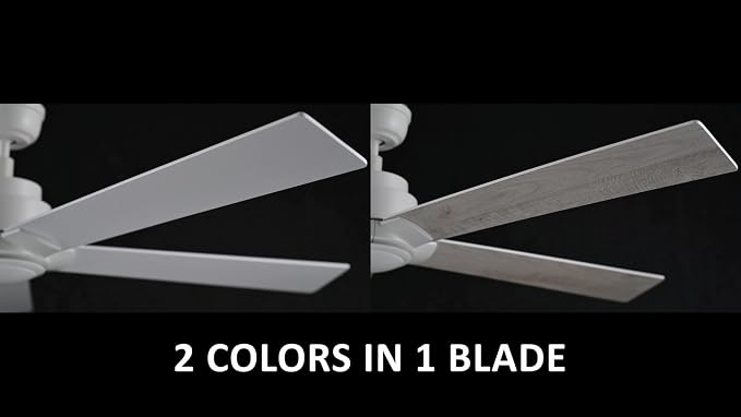 60 Inch Ceiling Fan without Lights, White Ceiling Fan with Remote Low Profile, 10-Speed Reversible DC Motor, 5 Dual Finish