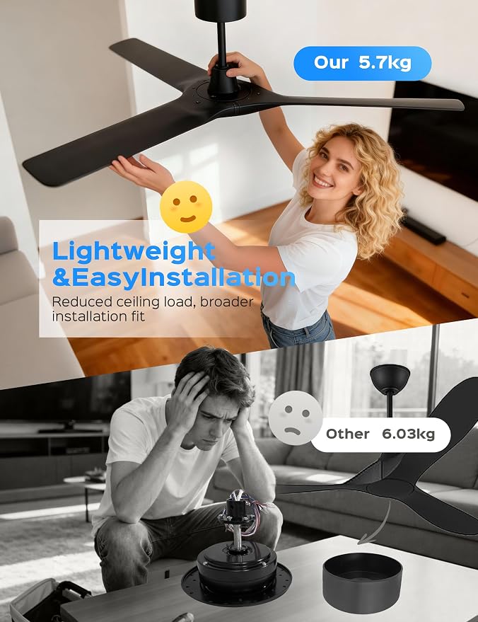 60 Inch Ultra-thin Ceiling Fan Without Lights, Whole Aluminum DC Motor and Blades,6 Speed Adjustable Black Indoor Outdoor