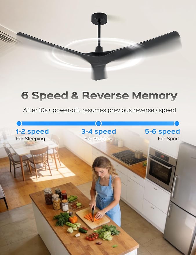 60 Inch Ultra-thin Ceiling Fan Without Lights, Whole Aluminum DC Motor and Blades,6 Speed Adjustable Black Indoor Outdoor