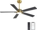 60" Smart Ceiling Fan with Lights and 3 Downrods, 5 Plywood Blades, 6 Speeds Reversible DC Motor, Works with Alexa and Google