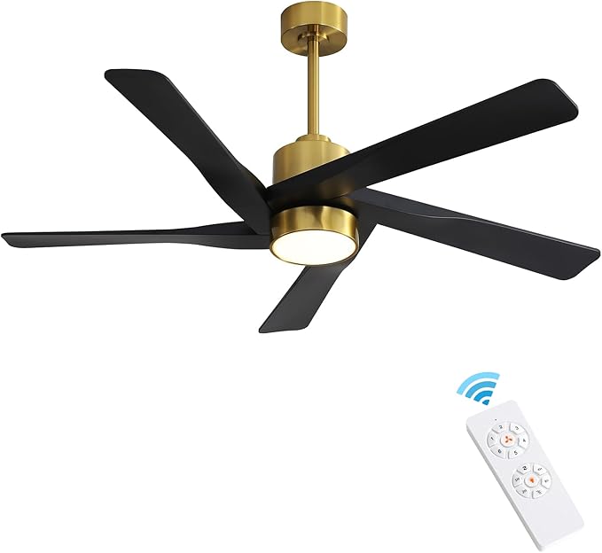 64" ABS DC Ceiling Fan with Lights, 5 Blade ABS Plastic Ceiling Fan with Remote, 6-Speed Reversible DC Motor, LED Ceiling