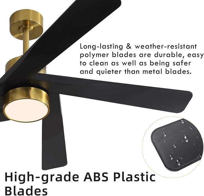 64" ABS DC Ceiling Fan with Lights, 5 Blade ABS Plastic Ceiling Fan with Remote, 6-Speed Reversible DC Motor, LED Ceiling
