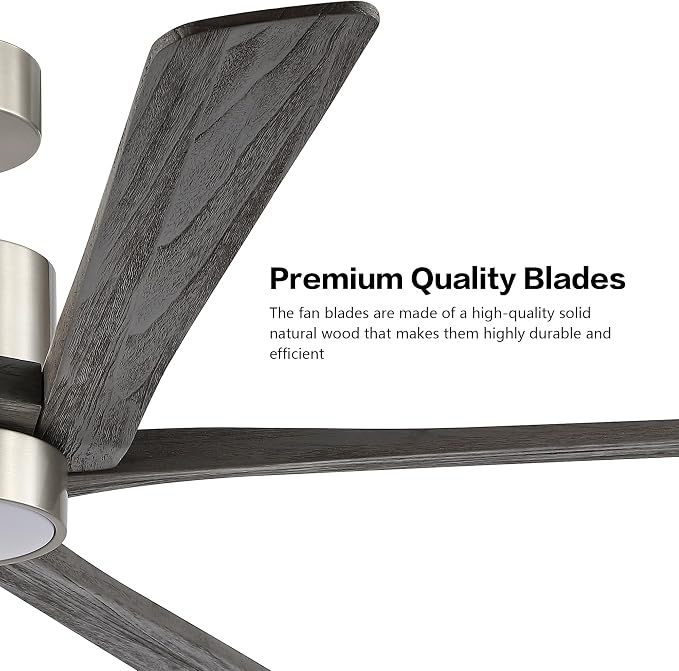 64 Inch DC Ceiling Fan with Lights and Remote Control, 5 Reversible Carved Wood Blades, 6-Speed Noiseless DC Motor, Modern