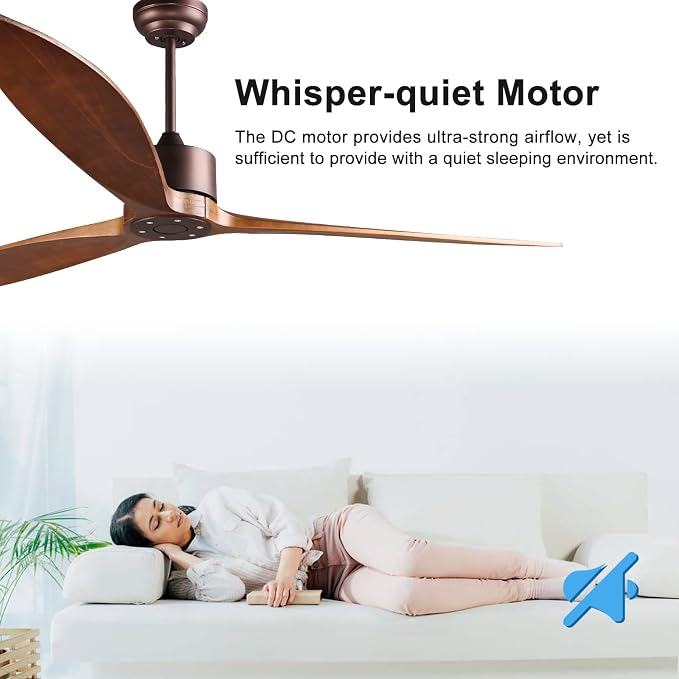 65" DC Motor Indoor Outdoor Modern Smart Ceiling Fan High CFM with 3 Wood Blades Wifi Alexa App Remote Control for Patio