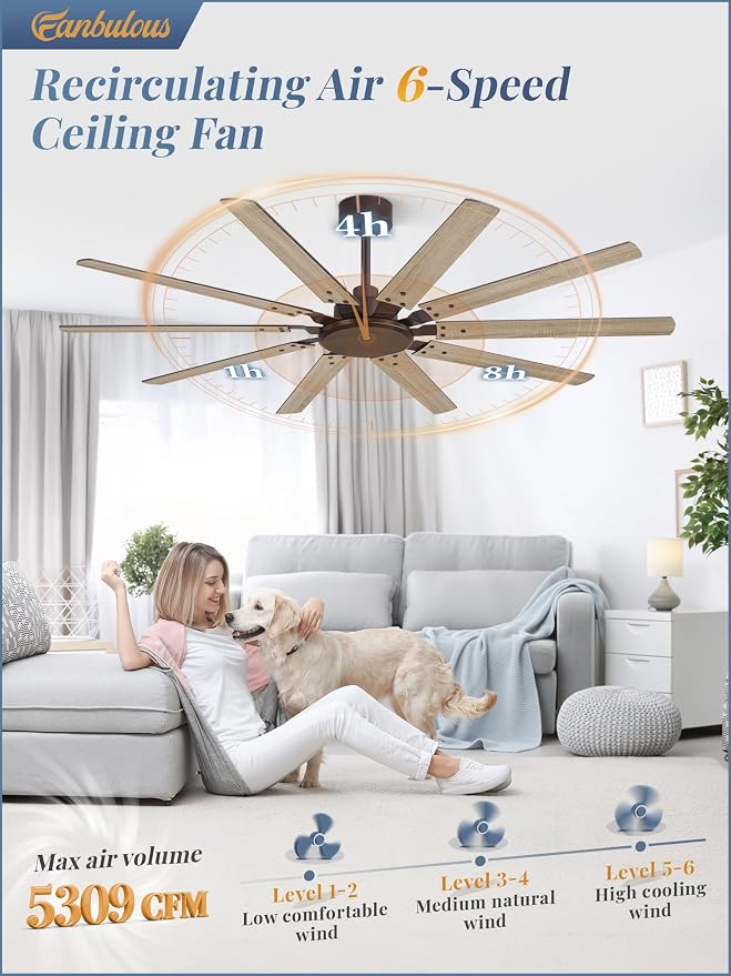 65 Inch Large Ceiling Fan Without Light, Modern Indoor/Outdoor Ceiling Fans No Light with Remote,6-Speed Reversible Quiet DC