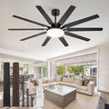 65 inch Large Ceiling Fans with Lights and Remote, Outdoor Black Ceiling Fan with 10 Blades, 32W LED light 3 CCT, 6 Speed