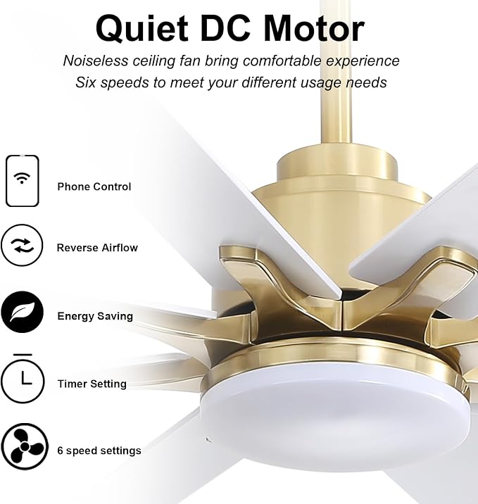 66 Inch Smart Ceiling Fans with Lights, Indoor/Outdoor Ceiling Fan with Light and Remote, Work with Alexa/Google, Reversible