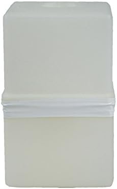 710333 Plus Replacement Standard Filters for Express Vacuum Series, 1-Quart (2 Pack)