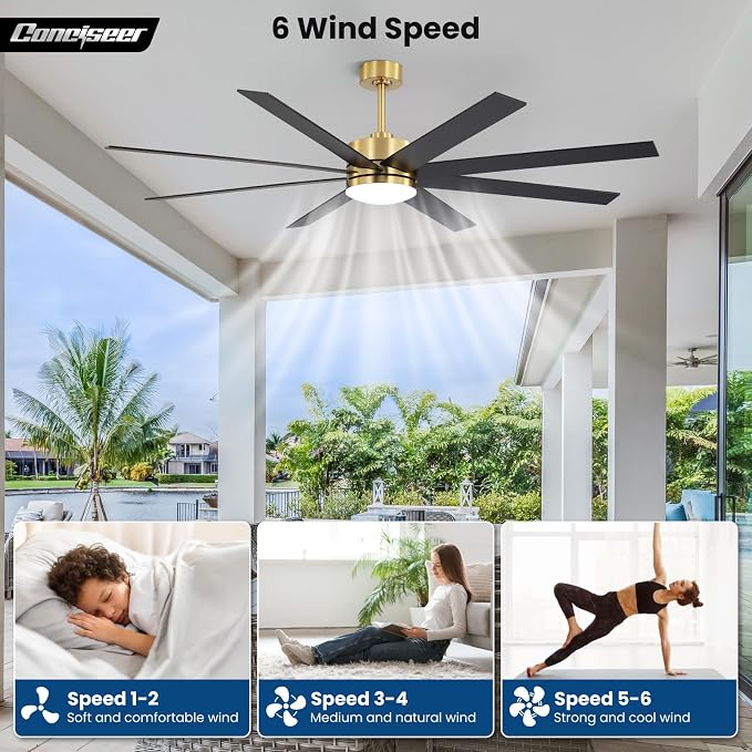 72 Inch Ceiling Fans with Lights and Remote, Dual Color 8 Blades, Living Room Office Library Cafe Indoor Outdoor Industrial