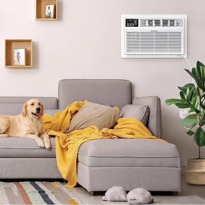 8,000 BTU Through-the-Wall Air Conditioner with Supplemental Heat, Dehumidifier and Remote Control, Wall AC Unit for