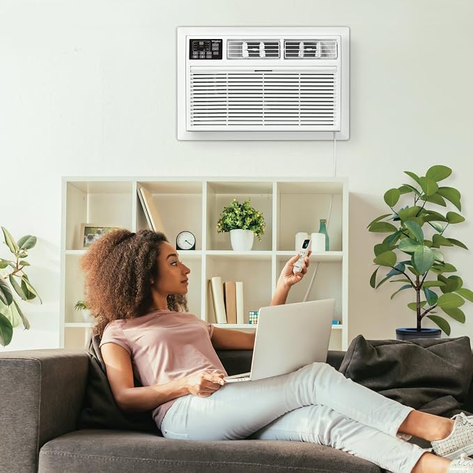 8,000 BTU Through-the-Wall Air Conditioner with Supplemental Heat, Dehumidifier and Remote Control, Wall AC Unit for
