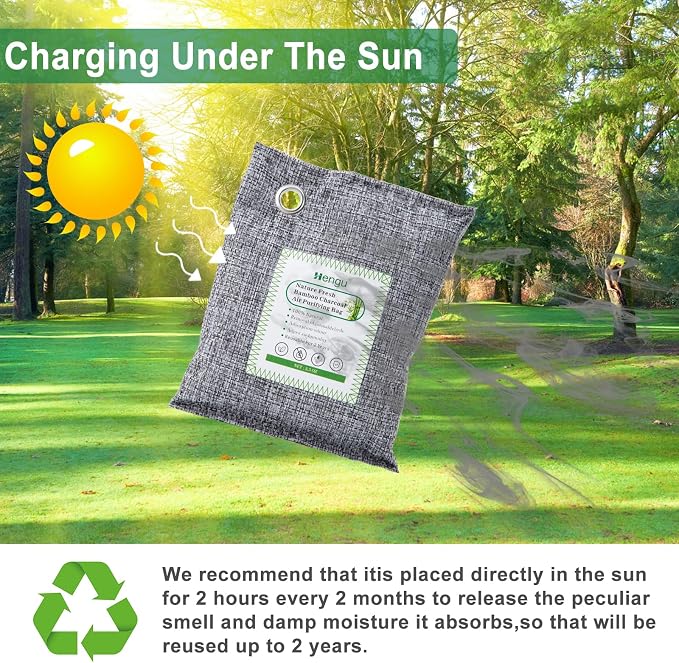 Activated Charcoal Odor Absorber (Large, 12 Pack, 100g each), Natural Charcoal Bags Odor Absorber Bamboo Charcoal Air