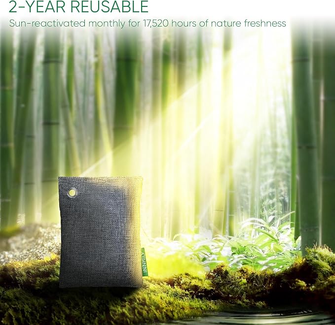 Activated Charcoal Odor Absorber, Odor Eliminator for Strong Odor,Bamboo Charcoal Air Purifying Bags for Home Car Closet Pet