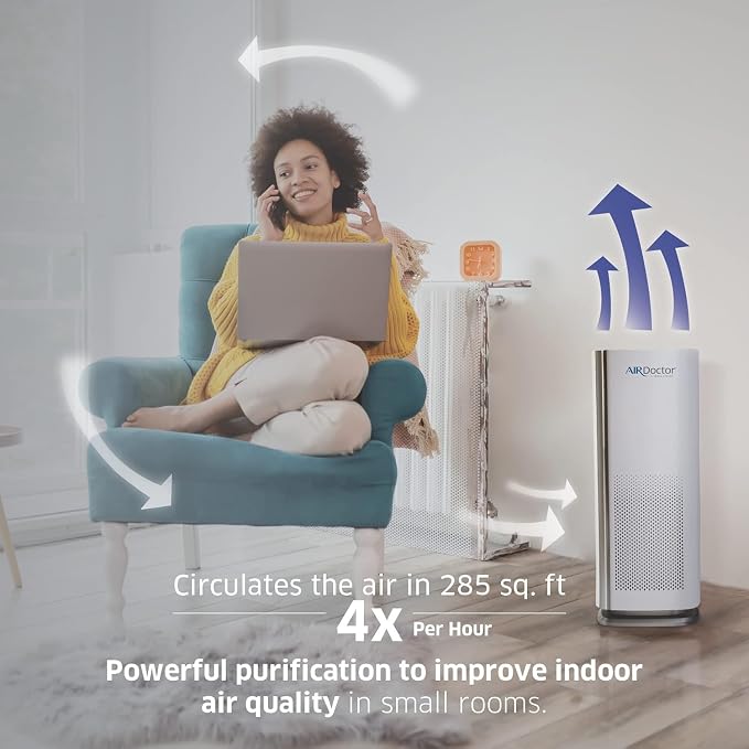 AD1000 HEPA Air Purifier | Perfect for Guest Rooms, Kids' Bedrooms and Home Offices | Circulates the Air in 285 sq. ft.