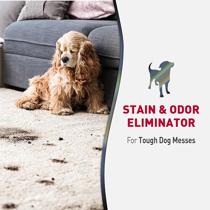 Advanced Dog Stain and Odor Eliminator Foam, Severe Mess Enzymatic Formula, 17.5 oz, 6 pack 6 pack 17.5 oz, alternate product