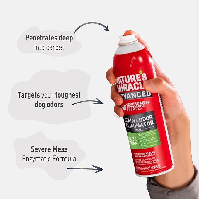 Advanced Dog Stain and Odor Eliminator Foam, Severe Mess Enzymatic Formula, 17.5 oz, 6 pack 6 pack 17.5 oz, alternate product