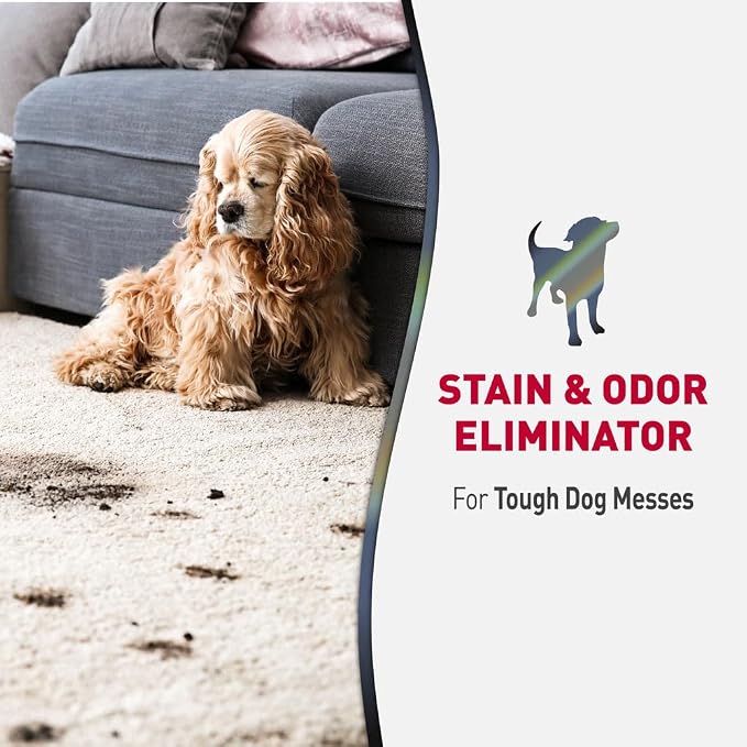 Advanced Stain & Odor Eliminator, Sunny Lemon Scent, Severe Mess Enzymatic Formula For Tough Pet Messes, 1 Gallon, alternate