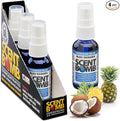 Air Freshener Spray, Long-Lasting Odor Eliminator - Effective Deodorizer for Home & Car, Fresh Room Spray for Kitchen