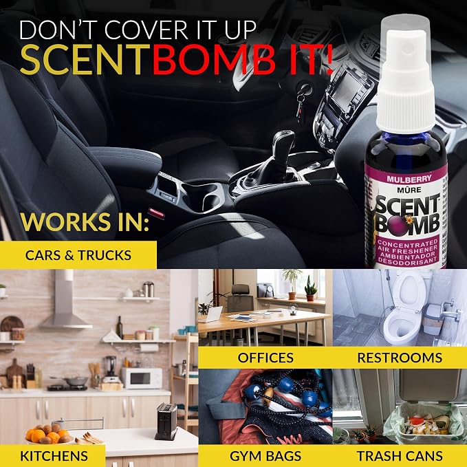 Air Freshener Spray, Long-Lasting Odor Eliminator - Effective Deodorizer for Home & Car, Fresh Room Spray for, alternate view