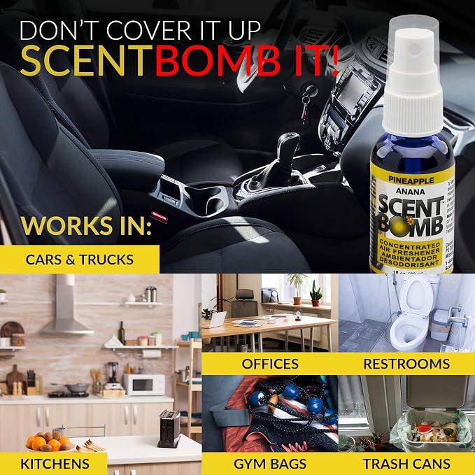 Air Freshener Spray, Long-Lasting Odor Eliminator - Effective Deodorizer for Home & Car, Fresh Room Spray for, alternate view