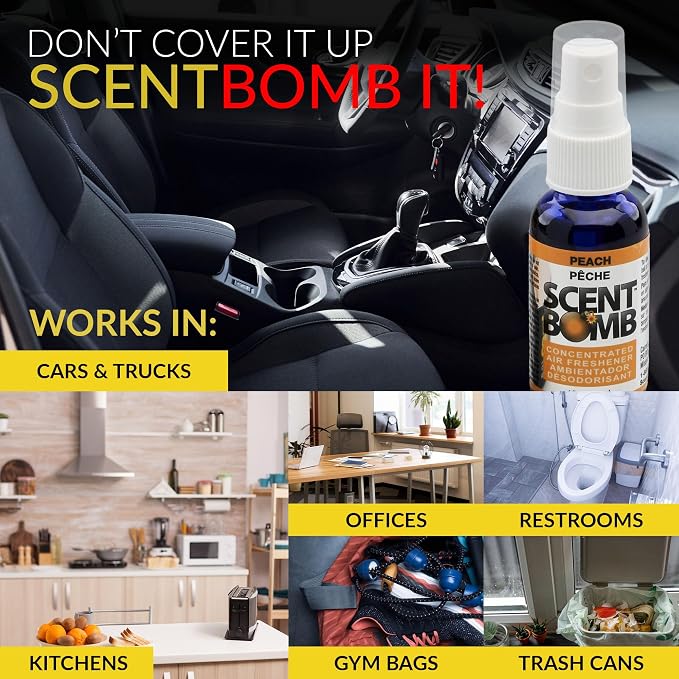Air Freshener Spray, Long-Lasting Odor Eliminator - Effective Deodorizer for Home & Car, Fresh Room Spray for, alternate view