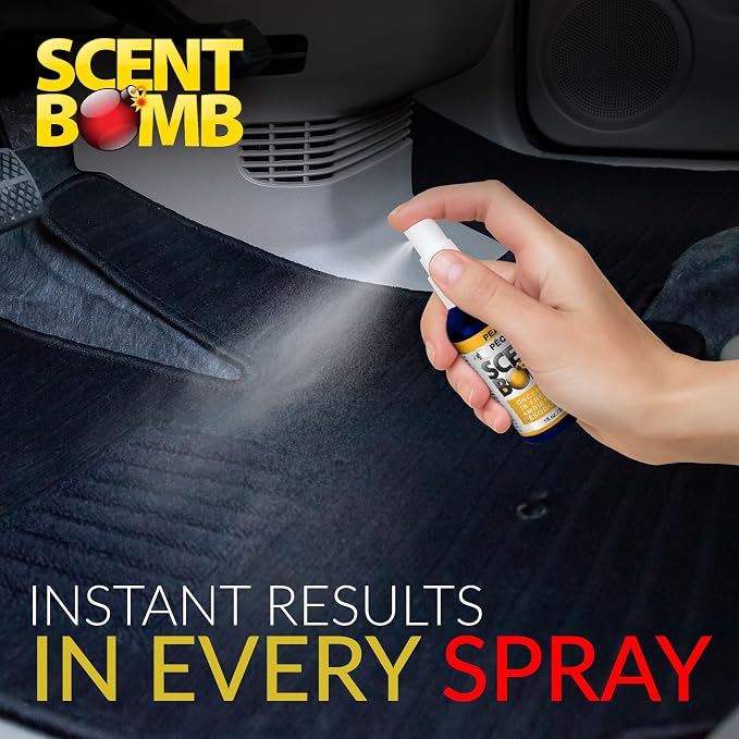 Air Freshener Spray, Long-Lasting Odor Eliminator - Effective Deodorizer for Home & Car, Fresh Room Spray for, alternate view