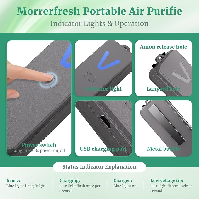 Air Ionizer, Negative Ion Air Purifier for Pet Homes and Small Spaces, Quiet Ozone Free Filterless Air Cleaner for Cat