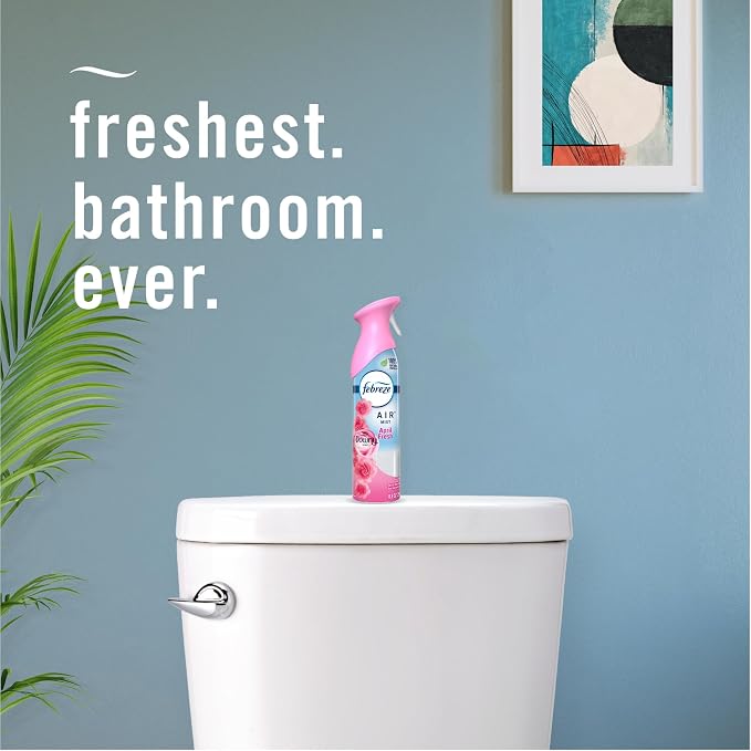 Air Mist Air Freshener Spray, Odor-Fighting Room Spray, Air Fresheners for Home and Bathroom and Kitchen, Aerosol Can
