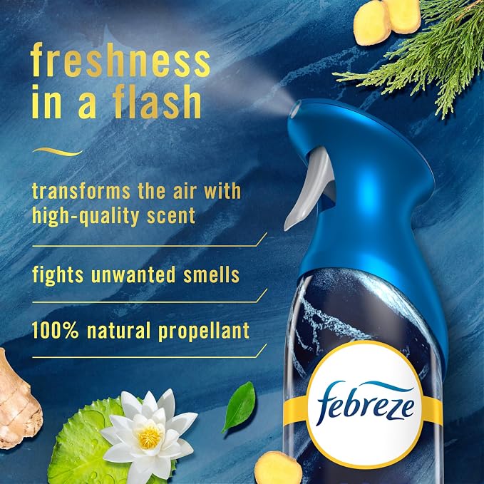 Air Mist Air Freshener Spray, Odor-Fighting Room Spray, Air Fresheners for Home and Bathroom and Kitchen, Aerosol Can