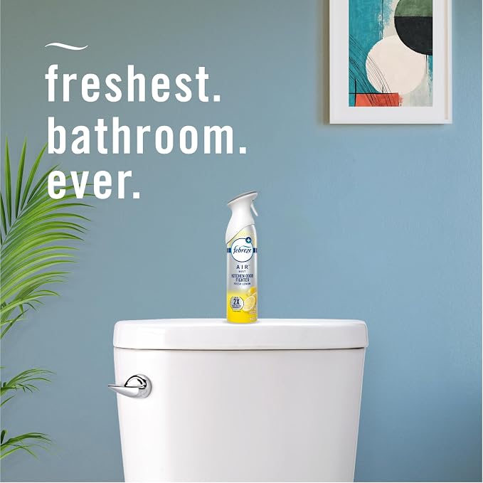Air Mist Air Freshener Spray, Odor-Fighting Room Spray, Air Fresheners for Home and Bathroom and Kitchen, Aerosol Can