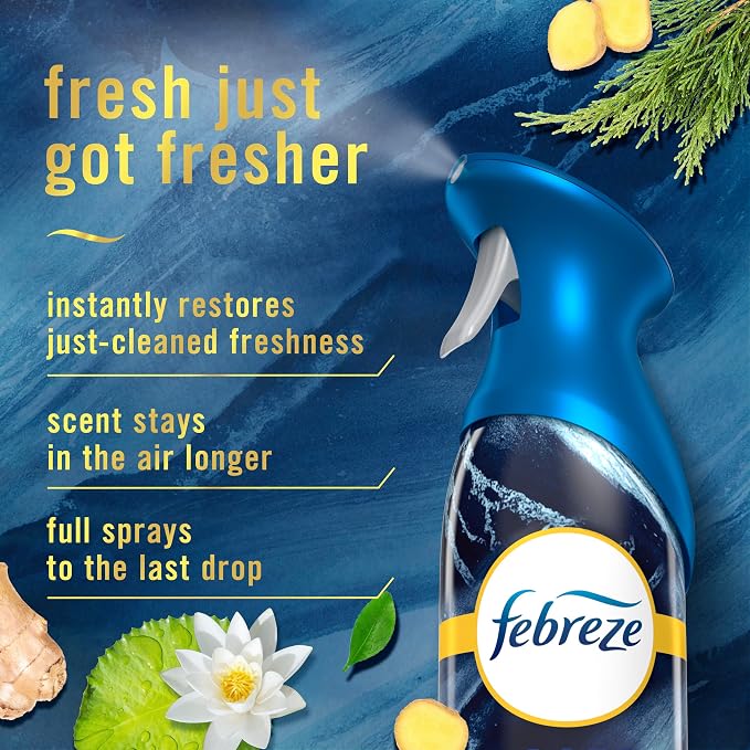 Air Mist, Luxe Air Freshener Spray, Odor Fighting Room Spray, Deodorizer for Home Bathroom Kitchen Office Apartment Dorm Room