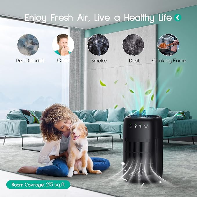 Air Purifier and Dehumidifier in 1, Air Purifier with Efficient Filter, Small Dehumidifier Combined with Air Cleaner