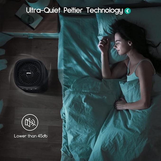 Air Purifier and Dehumidifier in 1, Air Purifier with Efficient Filter, Small Dehumidifier Combined with Air Cleaner