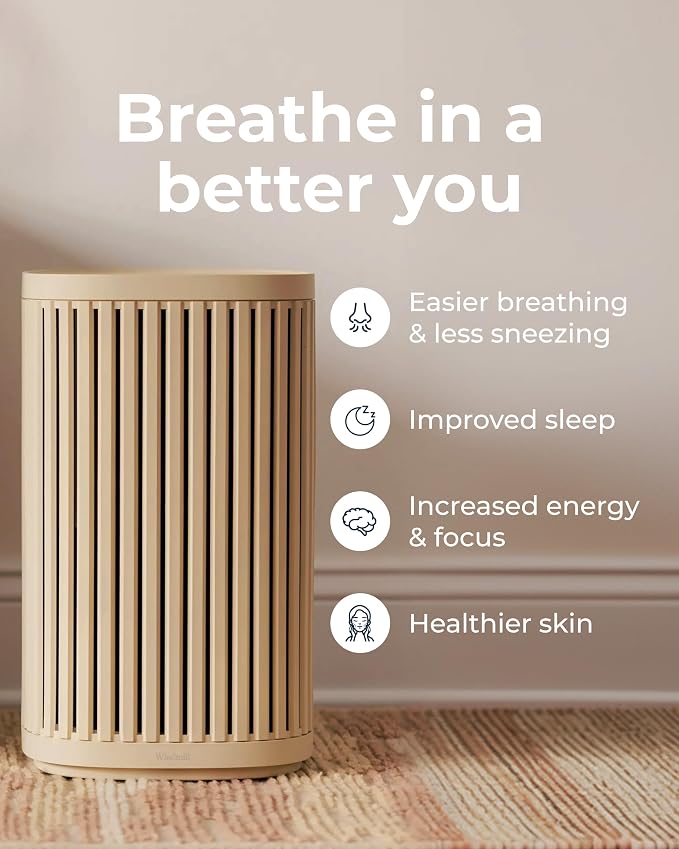 Air Purifier for Home - 3-In-1 Filtration for Dust, Smoke, & More - True HEPA Filter, Activated Carbon, & Pre-Filter