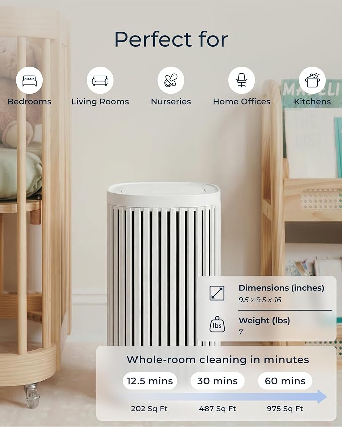 Air Purifier for Home - 3-In-1 Filtration for Dust, Smoke, & More - True HEPA Filter, Activated Carbon, & Pre-Filter