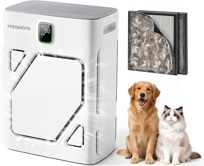 Air Purifier for Home Large Room 2600ft2, H13 HEPA Filter, Double Air Intake, PM2.5 Air Quality Display, Auto Mode, product