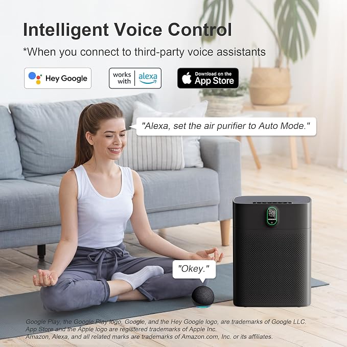 Air Purifier for home Large Rooms up to 1076 ft2, Wi-Fi and Alexa compatible, PM2.5 Air Quality Display, Auto Mode, alternate
