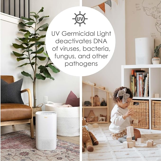 Air Purifier with True HEPA Filter, UV Light, 250 Sq Feet Coverage, Timer Function, Sleep Mode, Washable Particle Filter