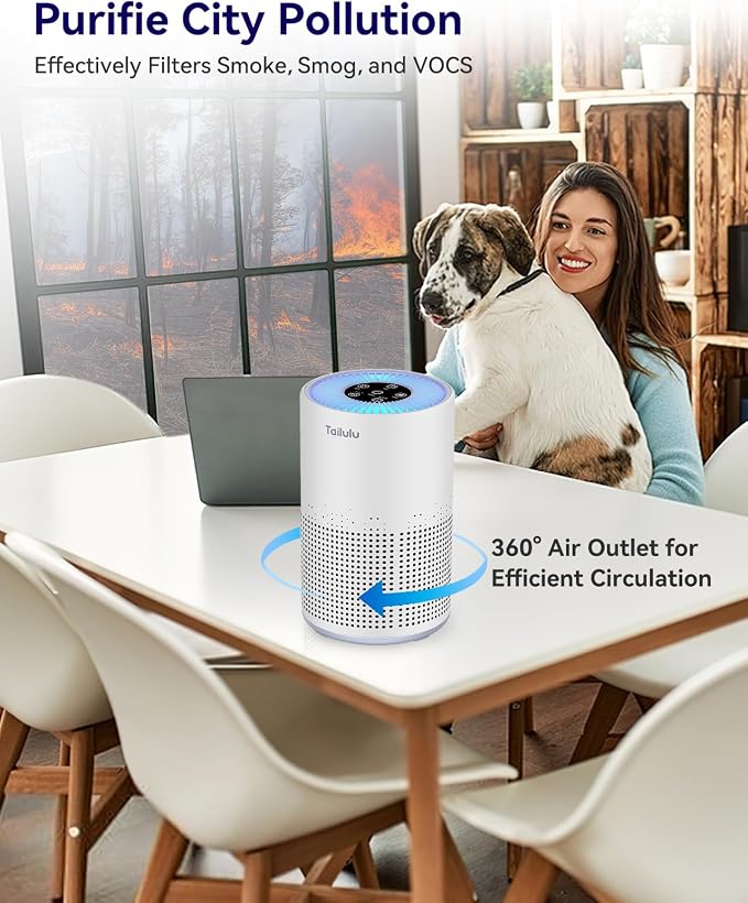 Air Purifiers for Bedroom Home Pets 1200 Ft2, H13 True HEPA Air Filter Portable Air Purifier with 12dB Sleep Mode, alternate