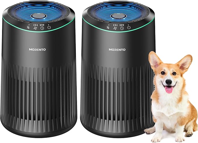 Air Purifiers for Bedroom Home with Sleep Mode for Smoke Pet Dander Odors, Small Air Purifier with Fragrance Sponge, Blue