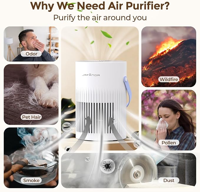 Air Purifiers for Bedroom, Pet Hair Air Purifier, Max 650 ft2, 3-in-1 Filter, H13 HEPA Air Filter, 20dB Quiet Sleep Mode