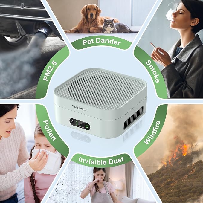 Air Purifiers for Home 600 Sq.Ft, TDBYWAE H13 True HEPA Air Purifier with USB Cable for Pets Dust Dander Pollen Odor Smoke