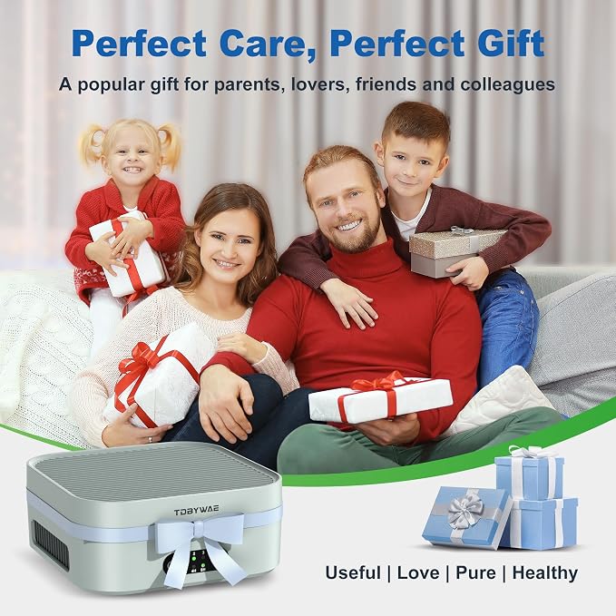 Air Purifiers for Home 600 Sq.Ft, TDBYWAE H13 True HEPA Air Purifier with USB Cable for Pets Dust Dander Pollen Odor Smoke