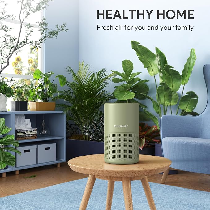 Air Purifiers for Home Bedroom H13 HEPA Air Purifier, 3 Speeds, Timer, 24dB, Small Mini Air Purifier with Night Light, Sage