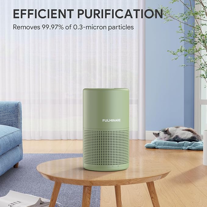 Air Purifiers for Home Bedroom H13 HEPA Air Purifier, 3 Speeds, Timer, 24dB, Small Mini Air Purifier with Night Light, Sage