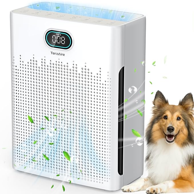 Air Purifiers for Home Cover Up to 2200 Ft2, HEPA Air Purifier with Washable Pre-filter, Pet mode, product image