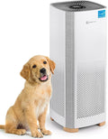 Air Purifiers for Home, Large Room Covers 1500 Ft2, H13 high quality True HEPA Air Filter, Ideal for Allergies, Cat, Dog