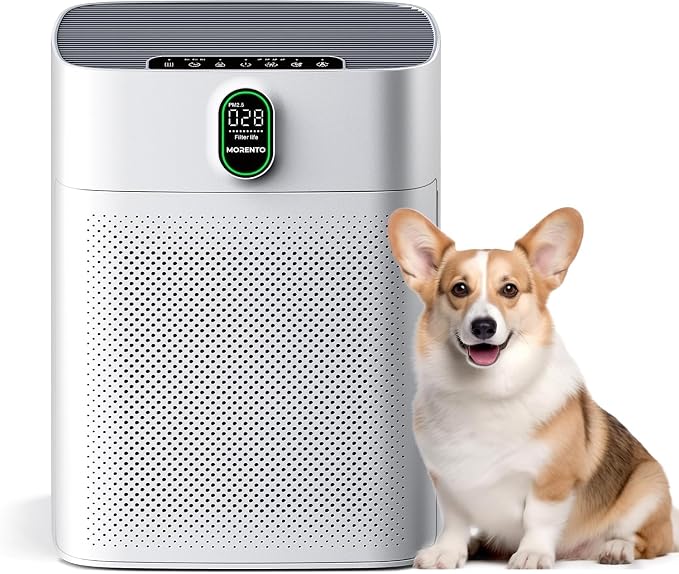 Air Purifiers for Home Large Room up to 1076 Sq Ft with PM 2.5 Display Air Quality Sensor for Pet Hair, Double-Sided Air