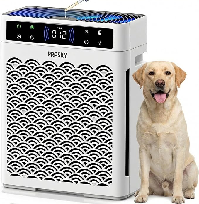 Air Purifiers for Home Large Room up to 3000sq.ft, HEPA Air Purifier & with Activated Carbon for Office, Bedroom, Dorm Room
